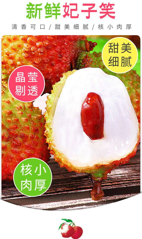 嶺南佳果，鮮香四溢 探索荔枝批發市場中的多品系魅力
