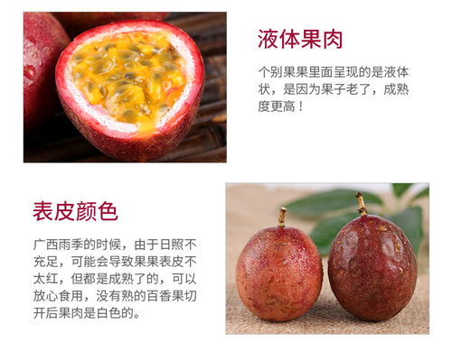 廣西百香果 現(xiàn)摘大果新鮮上市，優(yōu)質(zhì)批發(fā)直供市場(chǎng)