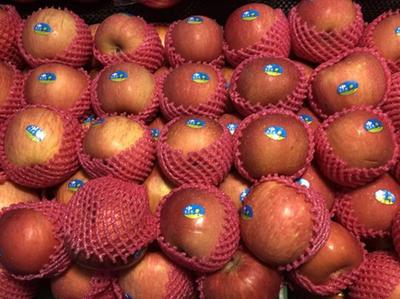 11月17日青島商超及批發(fā)市場(chǎng)果蔬價(jià)格行情分析